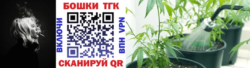 Где можно купить наркотики Щигры АМФ  гидра сайт  Псилоцибиновые грибы  Каннабис  Alpha-PVP  Меф  COCAIN 