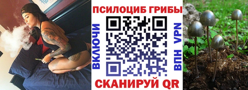 Псилоцибиновые грибы мицелий  Щигры 